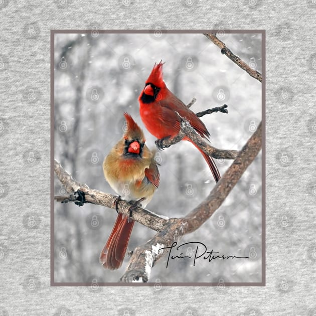 Red Cardinal Birds Snow by FlowerPower4U